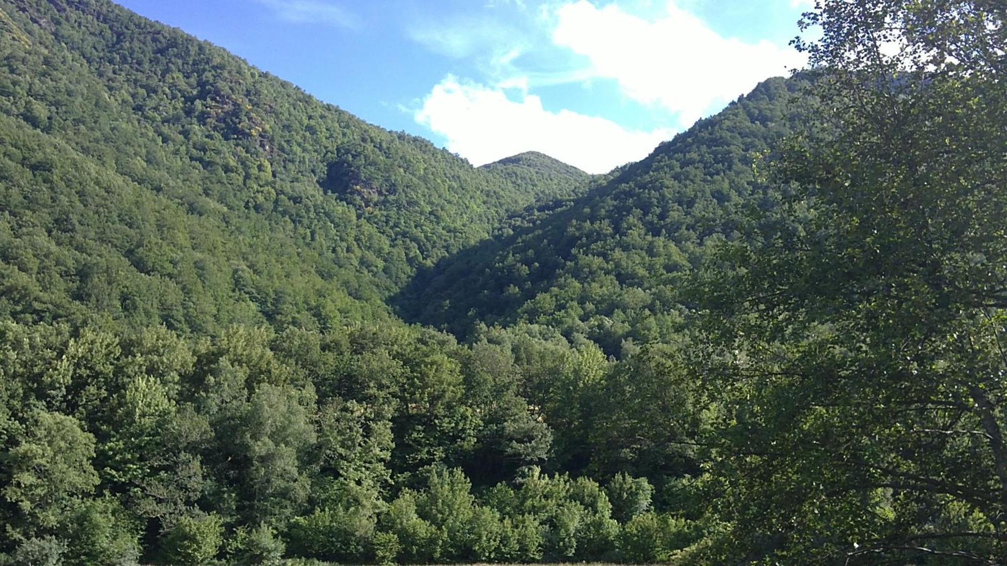 Apartamentos Rurales L'Abiseu Caboalles de Abajo Esterno foto